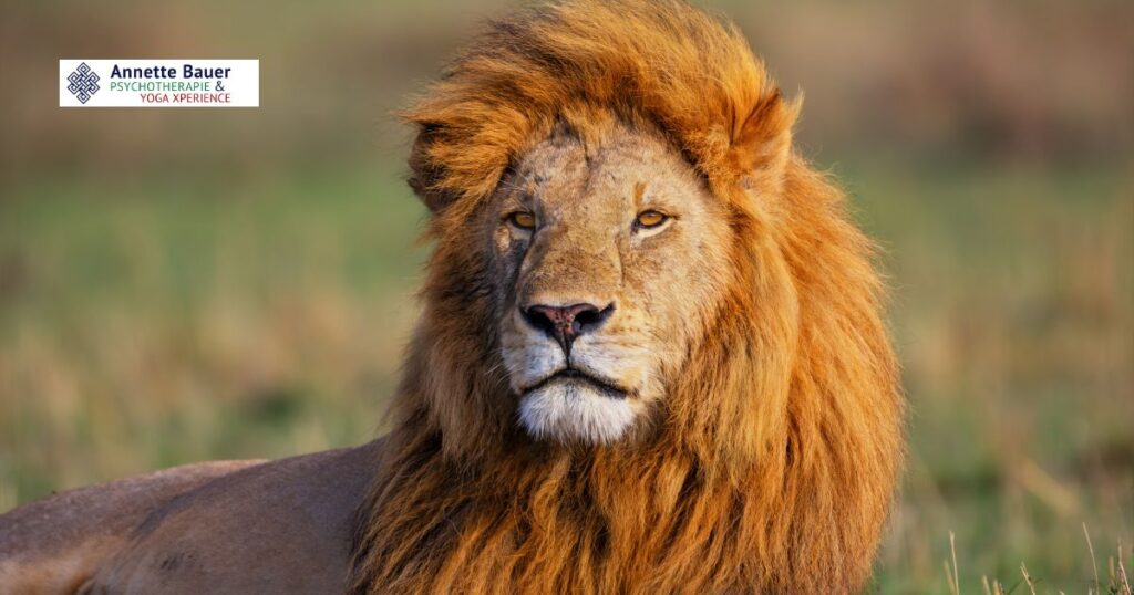 Löwe Zauberer von Oz Serie Annette Bauer Heilpraktikerin für Psychotherapie.jpg.jpg